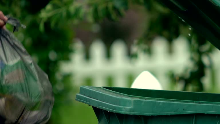 Best Yard Waste Removal  in West Elmira, NY